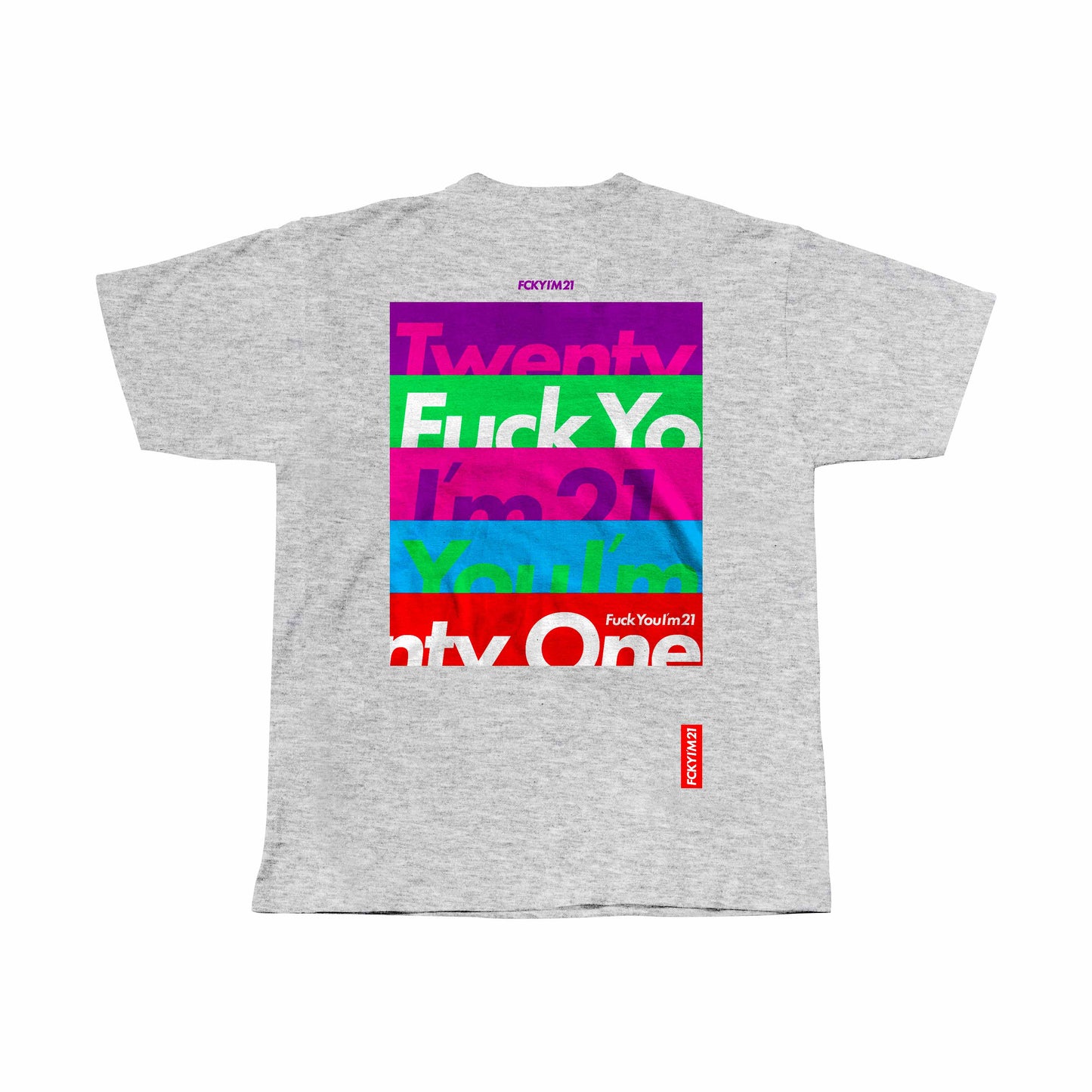 COLORZ / GRIS / CAMISETA CLASSIC FIT